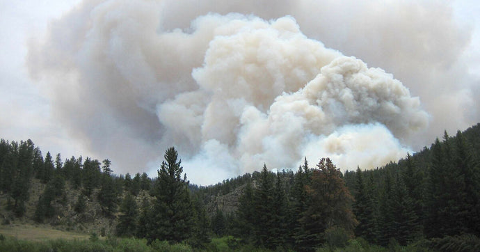 Colorado: The largest fire in history