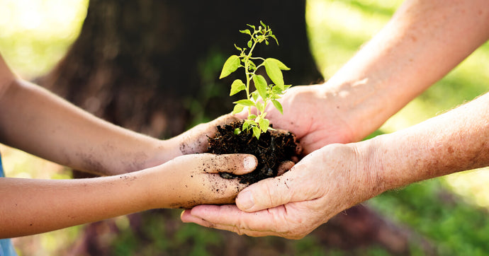 How planting a family tree could be one of the most empowering activities you’ll ever do with your child