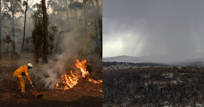 Australian fires, the aftermath: Now is the time to act!